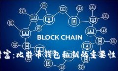 保护你的财富：比特币钱
